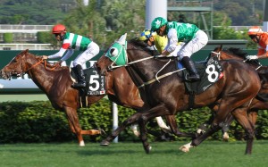 Pakistan Star and Silvestre de Sousa finish second to Neorealism (Joao Moreira) in the 2017 Audemars Piguet QE II Cup at Sha Tin. Photo: SCMP