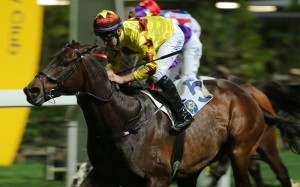 Sichuan Boss wins for Tommy Berry in February Photos: Kenneth Chan