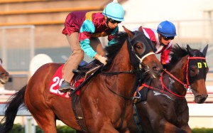 Matthew Chadwick (left) rides Victory Power in a trial at Sha Tin. Photo: Kenneth Chan