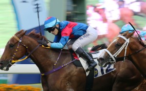 Keith Yeung drives Coby Boy to victory at Sha Tin. Photos: Kenneth Chan