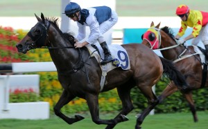 Zac Purton wins on Sacred Ibis. Photos: Kenneth Chan