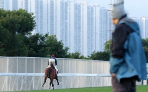 Michael Chang (right) watches Enjoyable Success at trackwork. Photo: Kenneth Chan