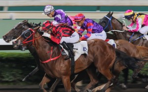 Karis Teetan (red and purple) and Solomon’s Bay finish third to Infinity Endeavour on Wednesday night. Photo: Kenneth Chan