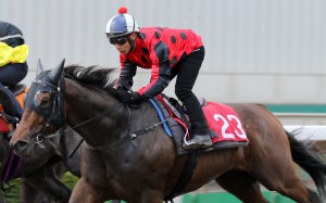 Ben So rides Deal Maker in a trial. Photo: Kenneth Chan