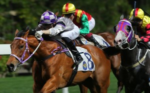 Prince Harmony wins at Happy Valley in March. Photos: Kenneth Chan