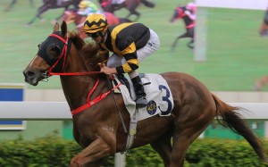 Glorious Forever cruises to a dominant victory at Sha Tin on Saturday. Photo: Kenneth Chan