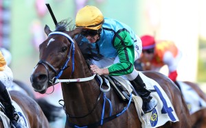 Zac Purton guides Rise High to victory. Photos: Kenneth Chan