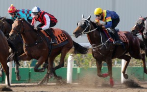 Nassa (left) hits the line nicely in a barrier trial at Sha Tin on Friday morning. Photos: Kenneth Chan