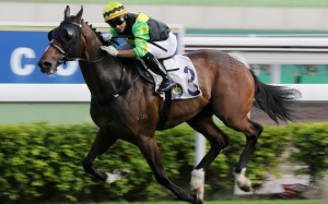 Grant van Niekerk boots Gorgeous King home. Photos: Kenneth Chan