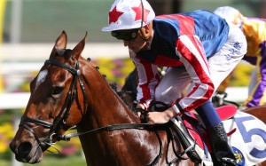 Chad Schofield does it comfortably on Refined Treasure last season. Photos: Kenneth Chan