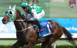 Pakistan Star wins the Champions & Chater Cup in May. Photos: Kenneth Chan