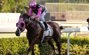 Jockey Zac Purton kicks clear on Beauty Generation in the Group Two Sha Tin Trophy. Photos: Kenneth Chan