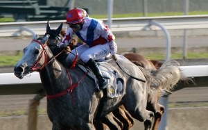 Grant van Niekerk races clear on Big Party on the Sha Tin all-weather track. Photos: Kenneth Chan