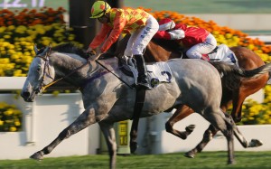 Pingwu Spark wins at Class Two level in January. Photos: Kenneth Chan