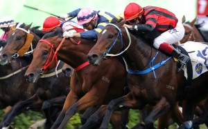 Tigre Du Terre (extreme outside) is beaten by a nostril during his first Hong Kong start last month. Photos: Kenneth Chan