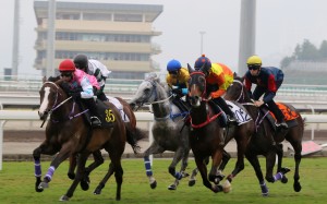 Horses trial at the Conghua Training Centre in October. Photo: Kenneth Chan