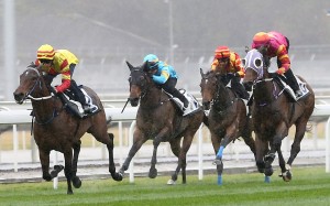 Shamport wins a barrier trial at Conghua. Photo: Hong Kong Jockey Club