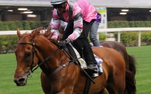 Jockey Zac Purton trials Band Of Brothers at Happy Valley earlier this month. Photos: Kenneth Chan