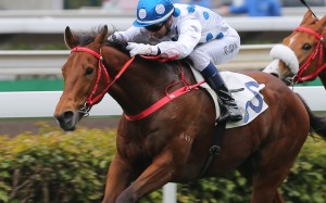 Enrichment stretches out to win over 2,000m last month under Joao Moreira. Photos: Kenneth Chan