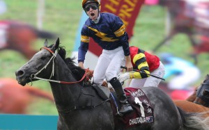 Chautauqua - the last Australian horse to win on Champions Day – wins the Group One Chairman’s Sprint Prize in 2016. Photos: Kenneth Chan