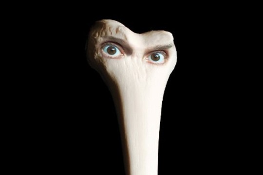 Review | Juana Molina's seventh album her darkest and most