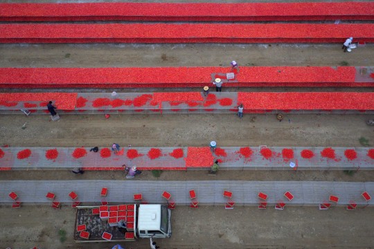 Bonds South China Morning Post