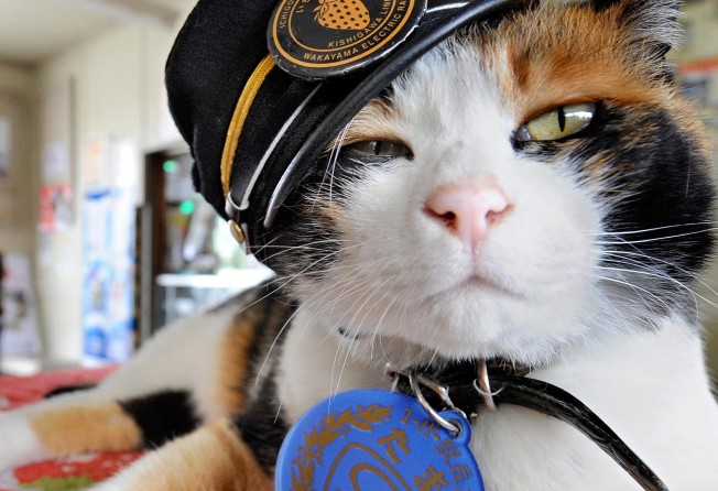 Japan S Lucky Cats May Be Cute But They Won T Save The Economy