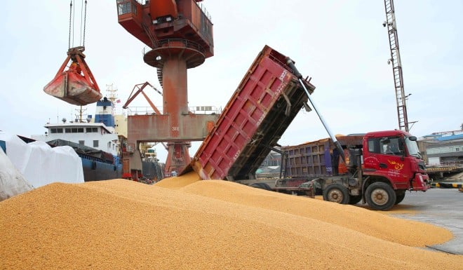 China needs soybeans to support its livestock industry.