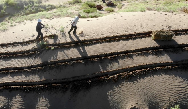 Pdf Desertification In China An Assessment