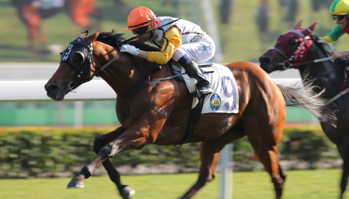 Trainer David Hall gets to grips with Golden Scalpel's ailments | HK ...