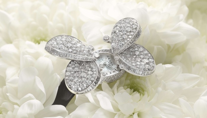 Graff butterfly watch price online