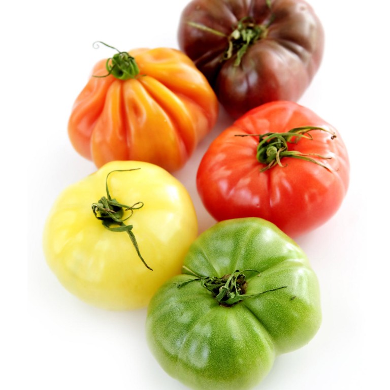 Heirloom tomatoes what to look for and how to store them South China