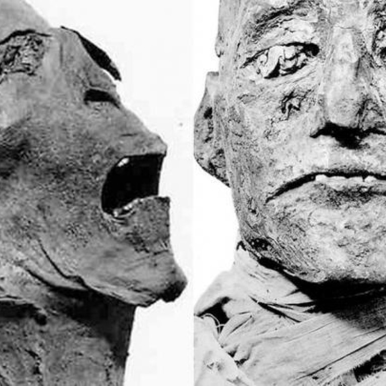 Assassin Slit Throat Of Pharaoh Ramses Iii To Alter Line Of Succession South China Morning Post