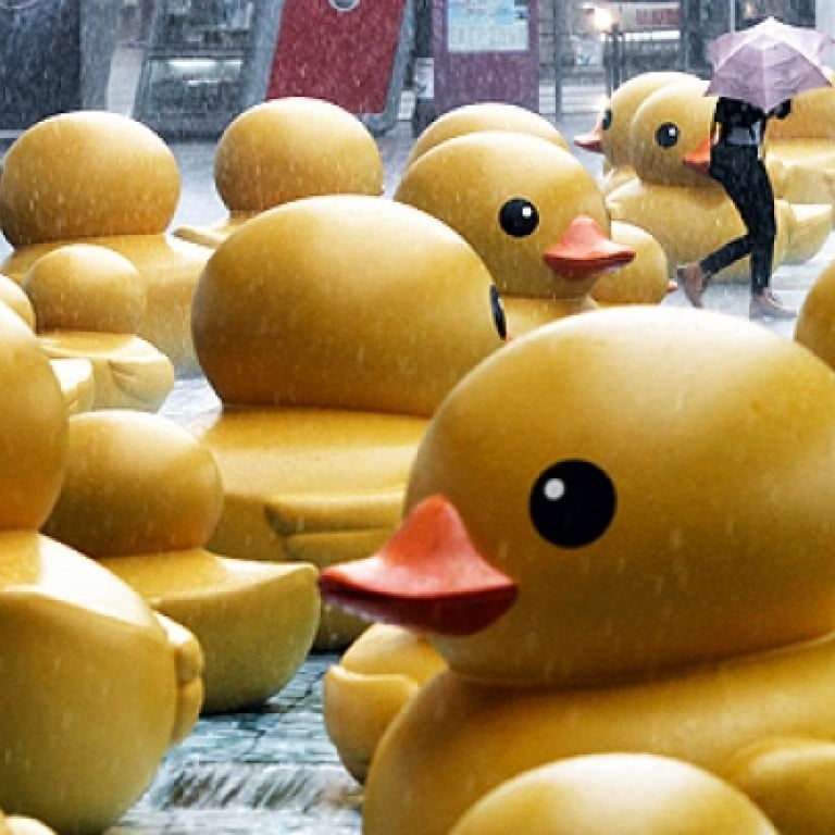 duck city rubber ducks