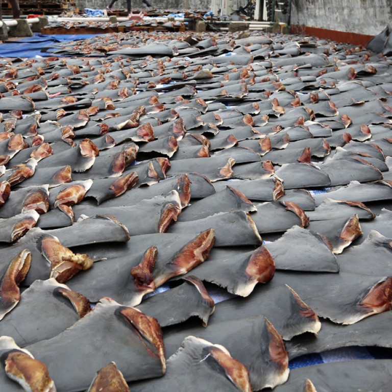 Chinese anti-graft campaign slowing demand for shark fin | South China