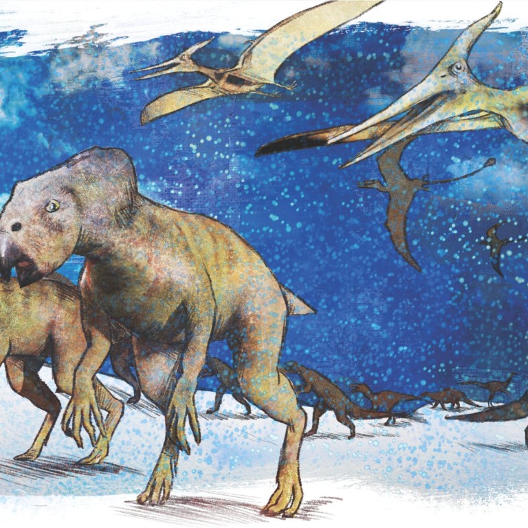 Dinosaurs may have lived in arctic conditions, study finds | South ...