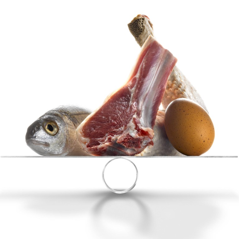 Hits and myths: Can eating too much animal protein damage your kidneys