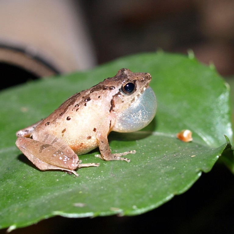 Government needs to consider public input in formulating biodiversity ...