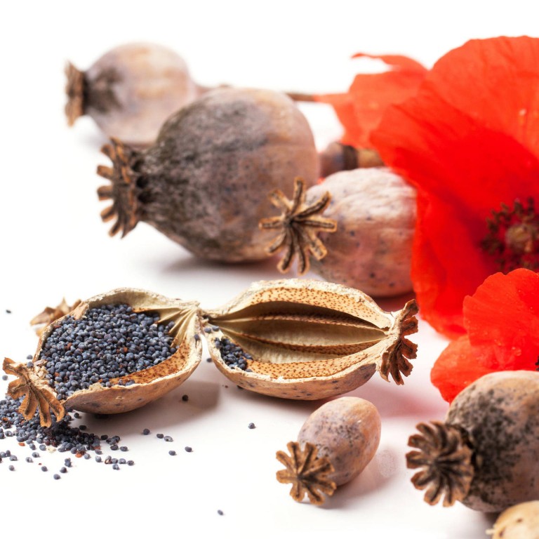Spice market Poppy seeds South China Morning Post