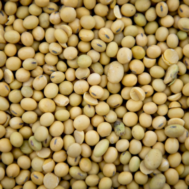 China's approval process for GMO grains 'overly political', says AmCham