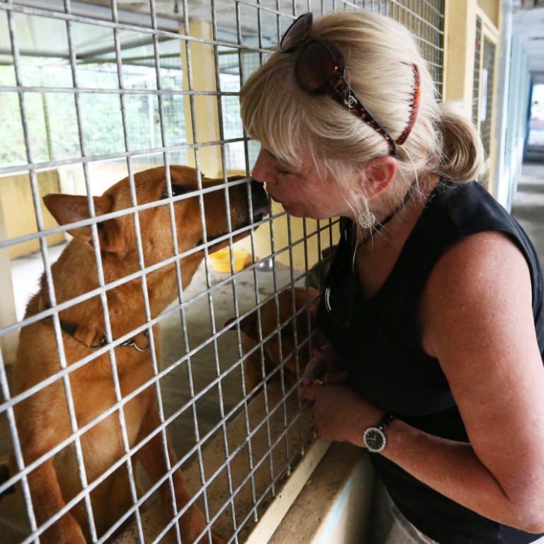 animal kennels