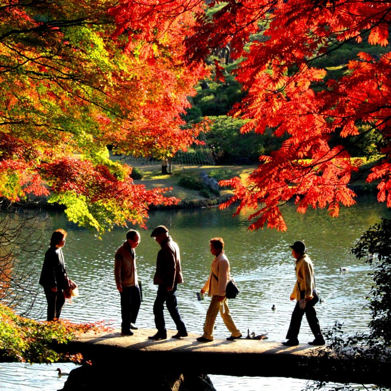 In Japan Viewing The Colours Of Maple Leaves In Autumn Is A Cultural Obsession South China Morning Post
