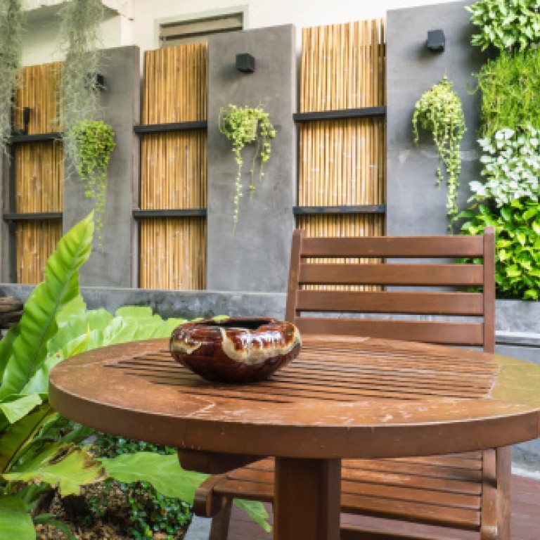 Life Givers Why Houseplants In Hong Kong Can Be Used To Combat Indoor Air Pollution South China Morning Post