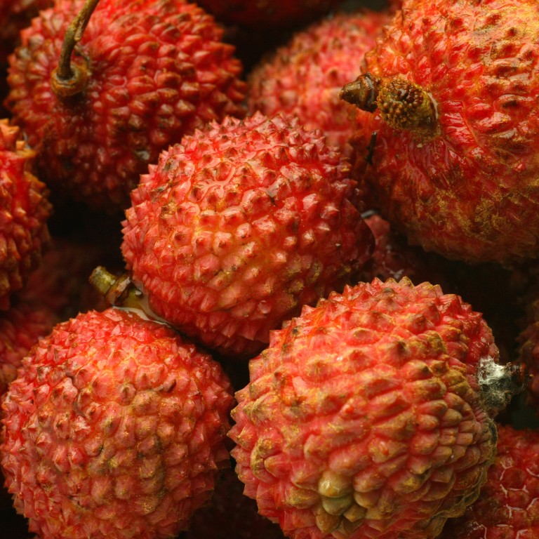 Mystery brain illness killing children in India may be linked to