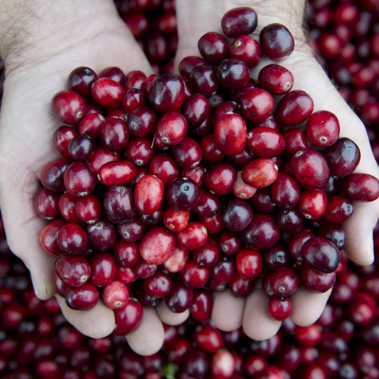 The truth cranberry juice of little use in curing urinary tract