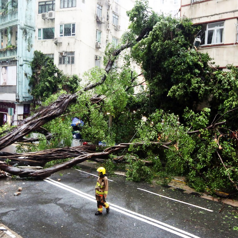 'Tree daddy' warns that Hong Kong government's 'twisted logic' will ...