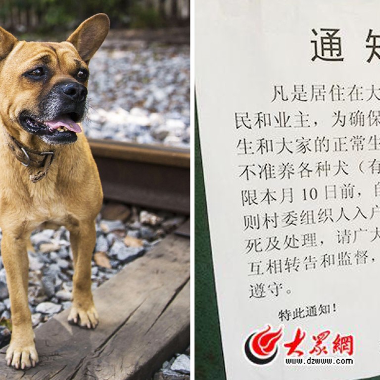 Get Rid Of Your Dog Or We Ll Come Round And Kill It Chinese Get Rid Of Your Dog Or We Ll Come Round