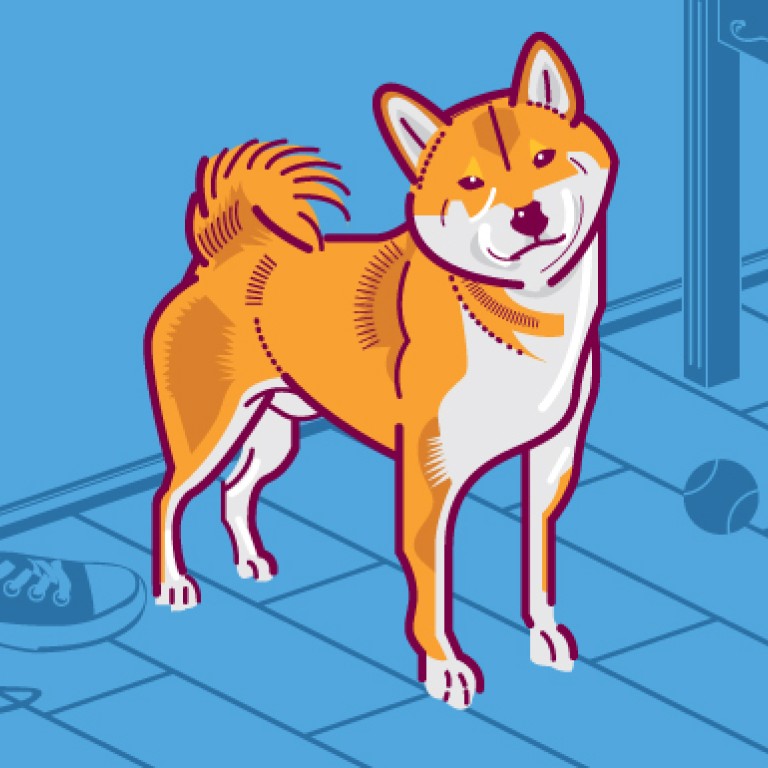 Best dog breeds for Hong Kong flats South China Morning Post