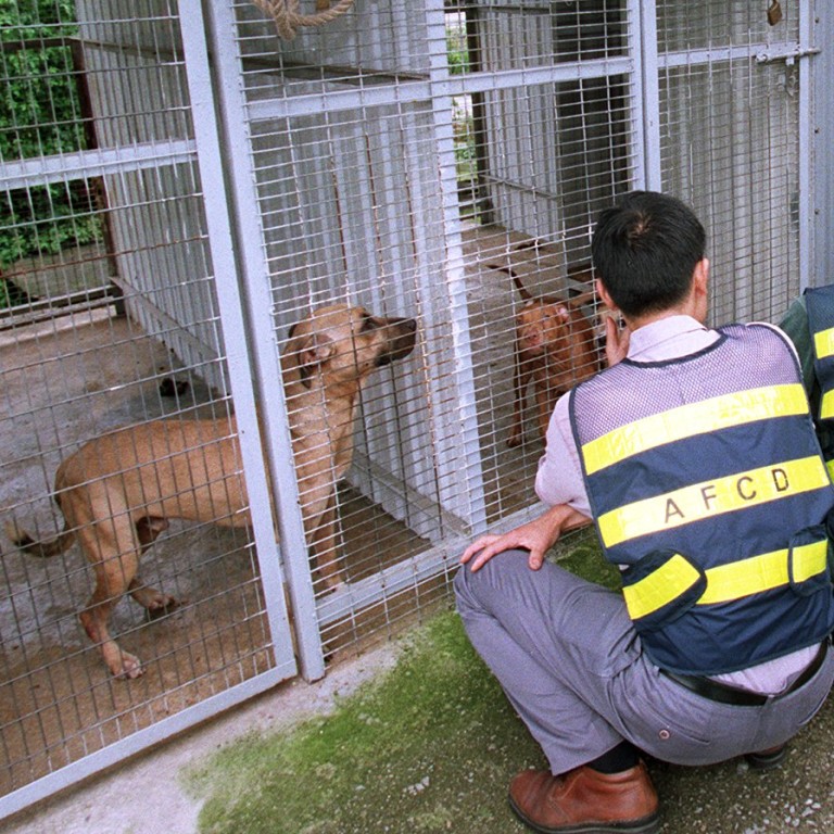 hong kong dog fight arena raid