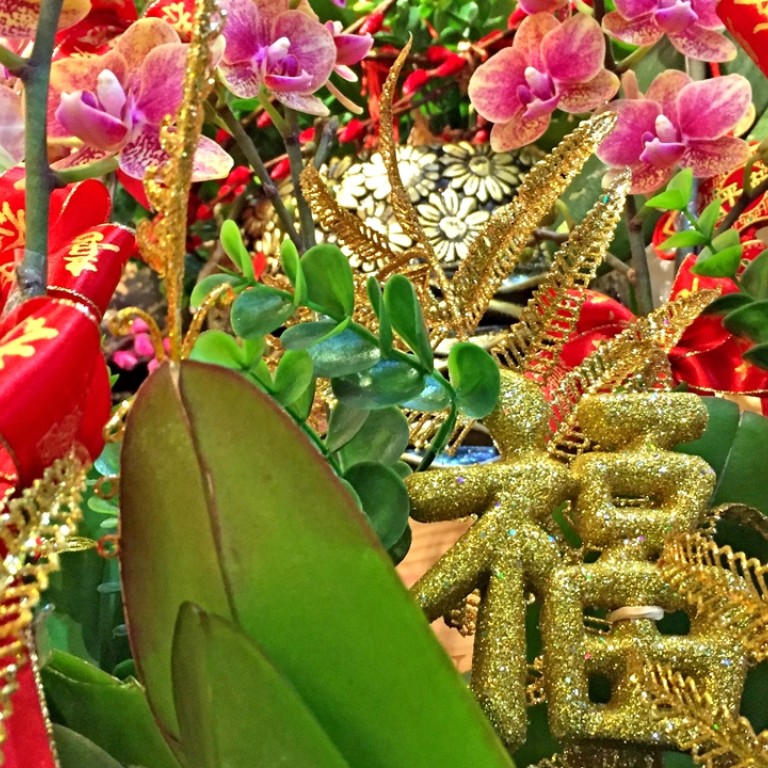 How Orchids And Tangerine Trees Are An Enduring Tradition Of Lunar New Year South China Morning Post
